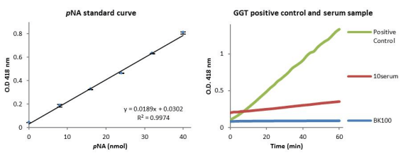 天冬氨酸转氨酶（AST或SGOT）活性比色检测试剂盒.png