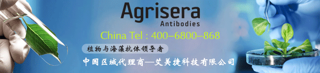 agriserakok官方网站│在线登录
中国代理